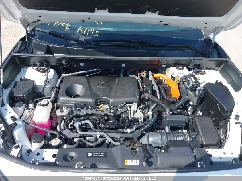 2020 Toyota Rav4 Le Hybrid VIN: 2T3BWRFV7LW067001 Lot: 12047931