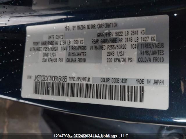 2022 Mazda Cx-9 VIN: JM3TCBCY7N0616486 Lot: 12047939