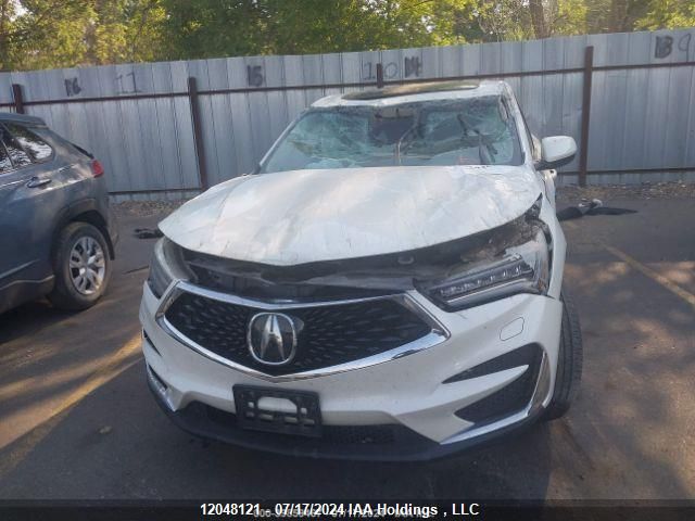 2019 Acura Rdx Advance VIN: 5J8TC2H72KL805227 Lot: 12048121