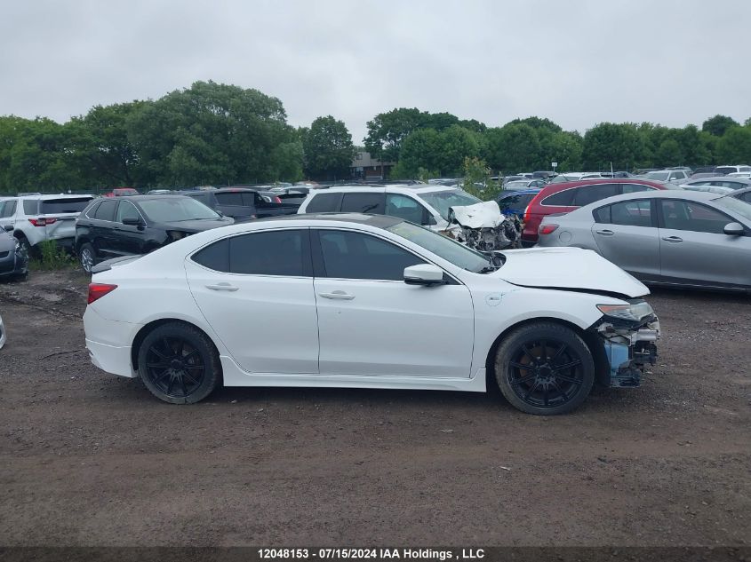 2016 Acura Tlx VIN: 19UUB3F52GA800384 Lot: 12048153