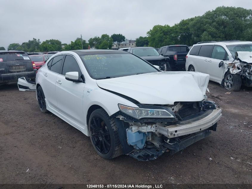 2016 Acura Tlx VIN: 19UUB3F52GA800384 Lot: 12048153