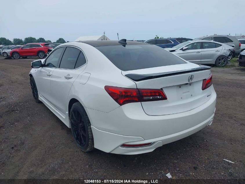 2016 Acura Tlx VIN: 19UUB3F52GA800384 Lot: 12048153