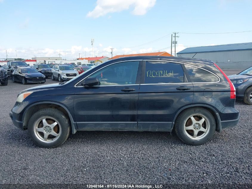 2007 Honda Cr-V VIN: 5J6RE48347L800737 Lot: 12048164