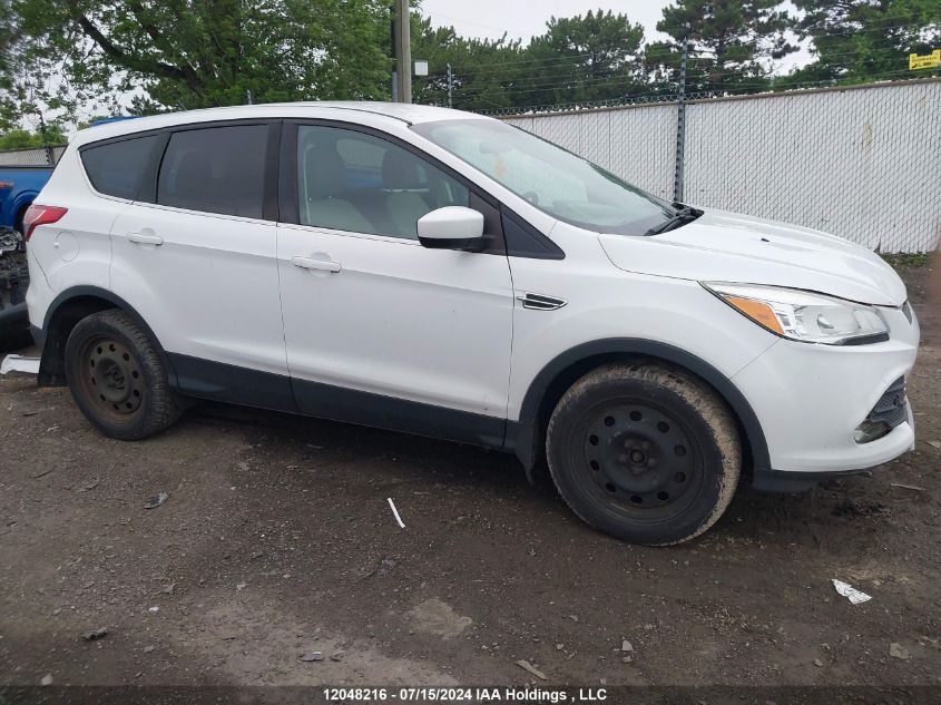 2014 Ford Escape Se VIN: 1FMCU9GX3EUB73810 Lot: 12048216