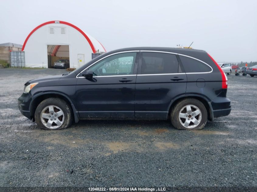2010 Honda Cr-V VIN: 5J6RE4H70AL814855 Lot: 12048222