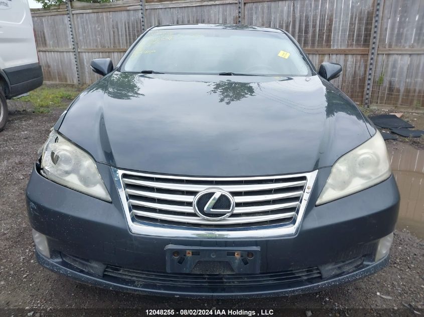 2010 Lexus Es 350 350 VIN: JTHBK1EGXA2356538 Lot: 12048255