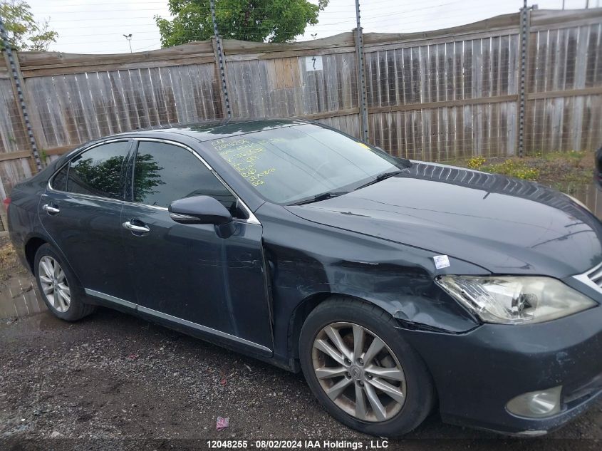 2010 Lexus Es 350 350 VIN: JTHBK1EGXA2356538 Lot: 12048255