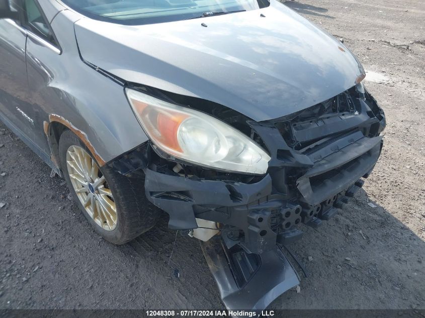 2014 Ford C-Max Hybrid VIN: 1FADP5BU6EL505286 Lot: 12048308