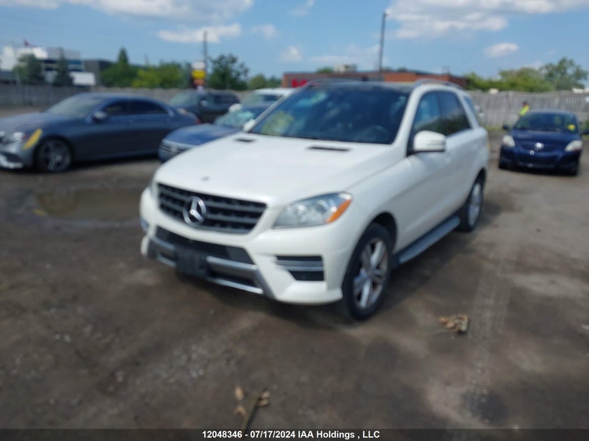 2014 Mercedes-Benz Ml-Class VIN: 4JGDA2EB3EA294463 Lot: 12048346