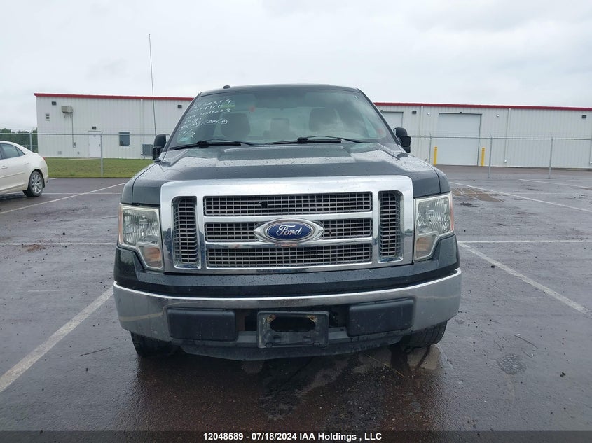 2011 Ford F150 VIN: 1FTMF1CM3BKD50203 Lot: 12048589
