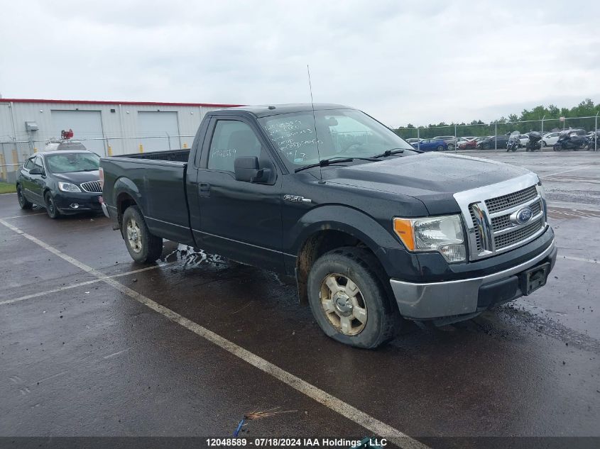 2011 Ford F150 VIN: 1FTMF1CM3BKD50203 Lot: 12048589