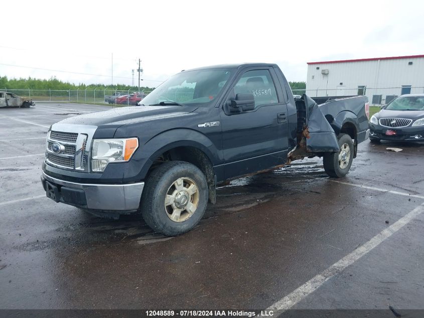 2011 Ford F150 VIN: 1FTMF1CM3BKD50203 Lot: 12048589