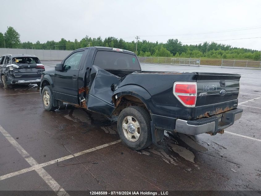 2011 Ford F150 VIN: 1FTMF1CM3BKD50203 Lot: 12048589