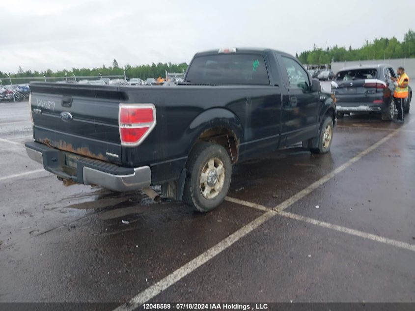 2011 Ford F150 VIN: 1FTMF1CM3BKD50203 Lot: 12048589