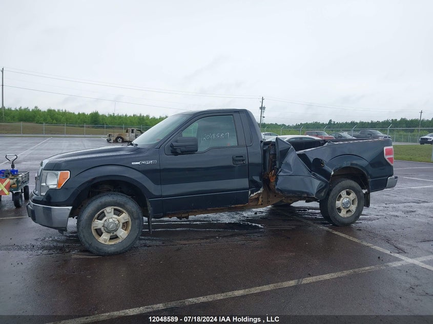 2011 Ford F150 VIN: 1FTMF1CM3BKD50203 Lot: 12048589