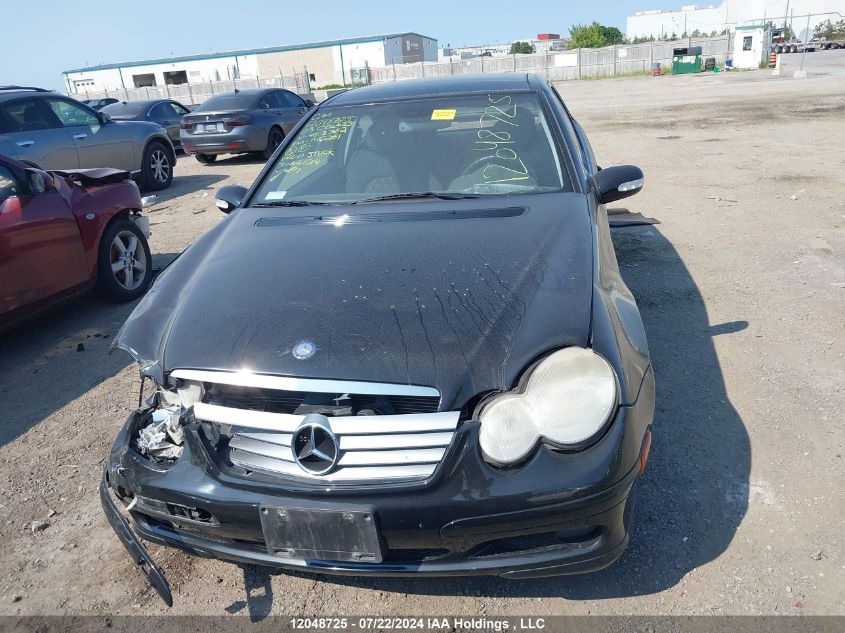 2003 Mercedes-Benz C-Class VIN: WDBRN40J53A483782 Lot: 12048725