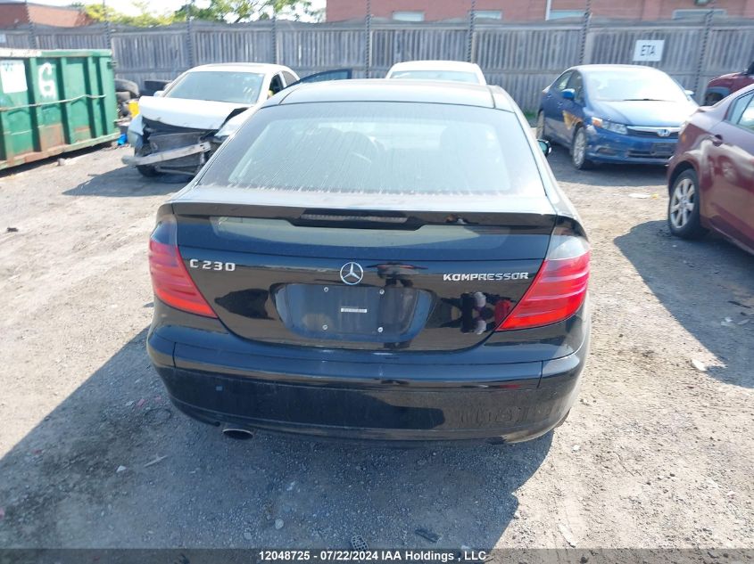 2003 Mercedes-Benz C-Class VIN: WDBRN40J53A483782 Lot: 12048725