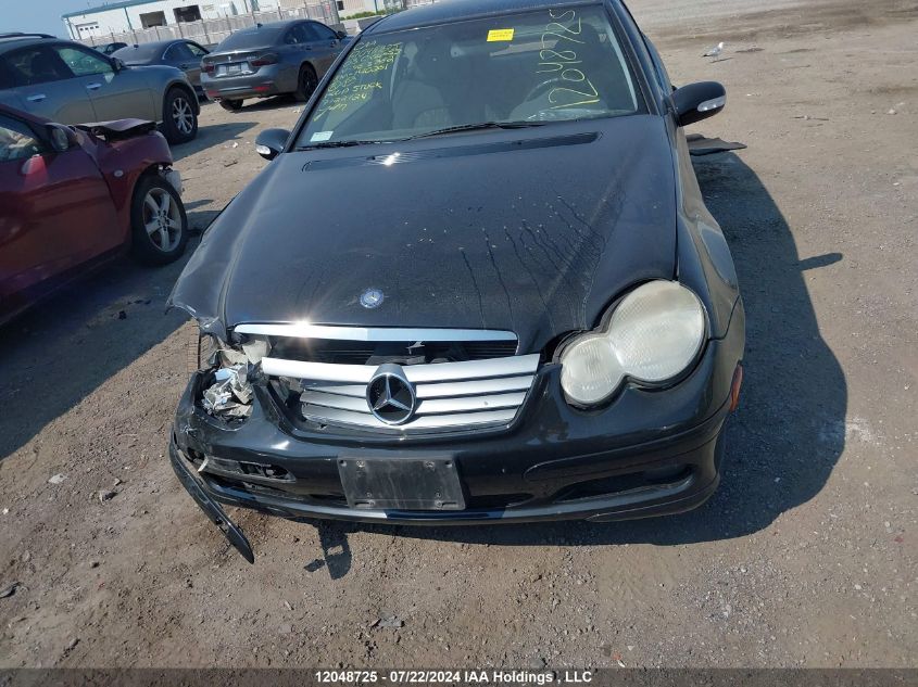 2003 Mercedes-Benz C-Class VIN: WDBRN40J53A483782 Lot: 12048725