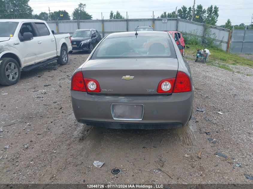 2010 Chevrolet Malibu VIN: 1G1ZB5E03AF211949 Lot: 12048726