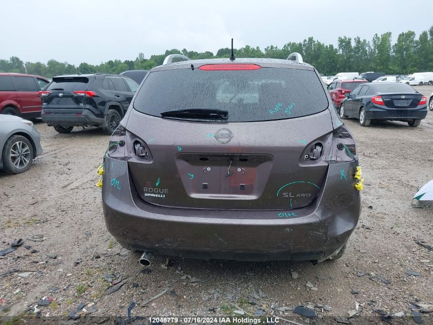 2010 Nissan Rogue VIN: JN8AS5MV2AW118913 Lot: 12048779