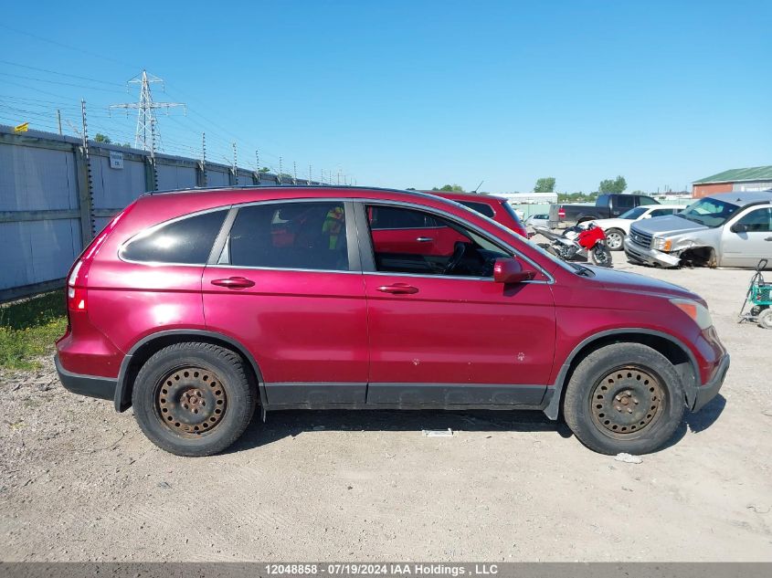 2007 Honda Cr-V Exl VIN: 5J6RE48747L800675 Lot: 12048858