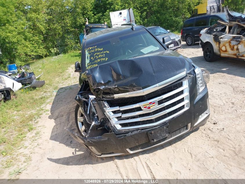 2017 Cadillac Escalade VIN: 1GYS4BKJ4HR313701 Lot: 12048926