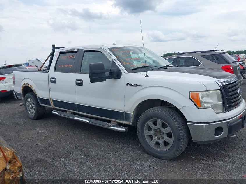 2010 Ford F-150 VIN: 1FTFW1EV2AFA19747 Lot: 12048965