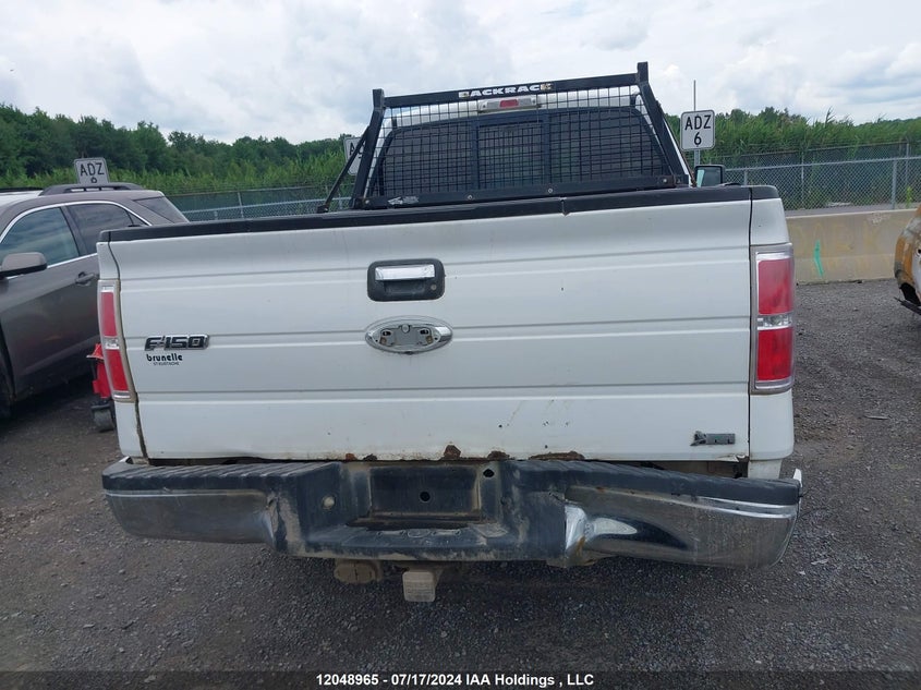 2010 Ford F-150 VIN: 1FTFW1EV2AFA19747 Lot: 12048965