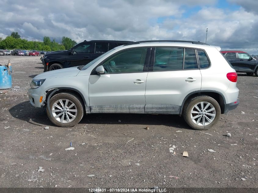 2013 Volkswagen Tiguan VIN: WVGKV3AX5DW620025 Lot: 12049431