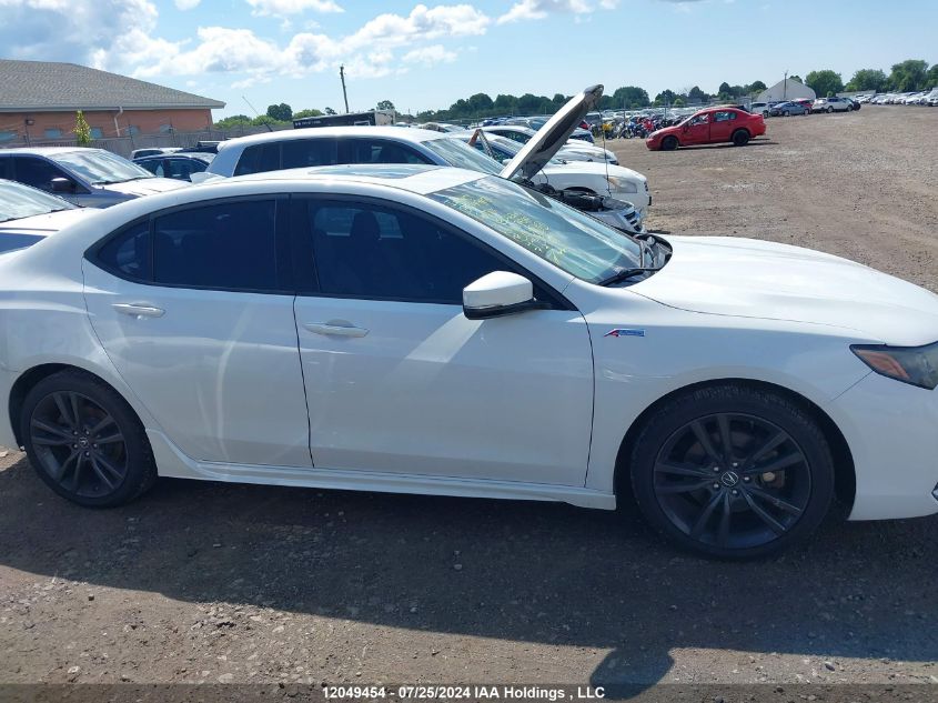 2018 Acura Tlx VIN: 19UUB3F8XJA802224 Lot: 12049454