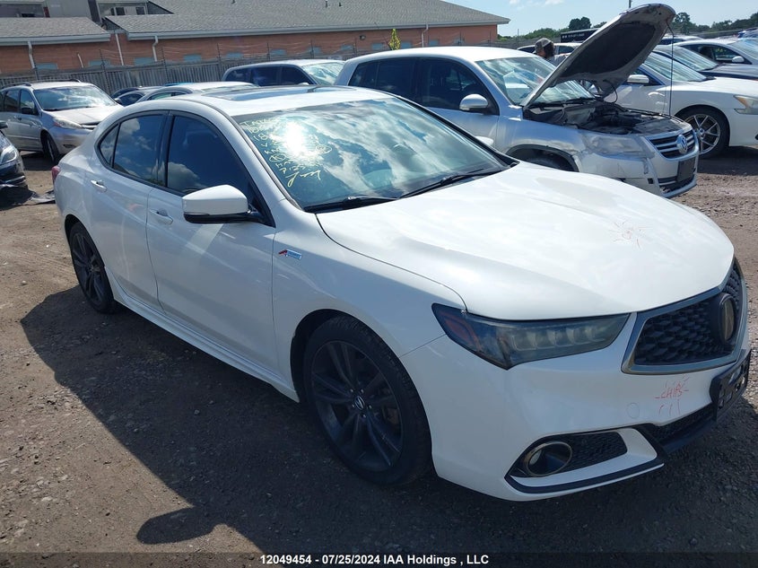 2018 Acura Tlx VIN: 19UUB3F8XJA802224 Lot: 12049454