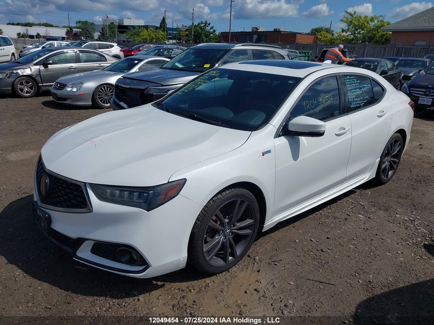 2018 Acura Tlx VIN: 19UUB3F8XJA802224 Lot: 12049454