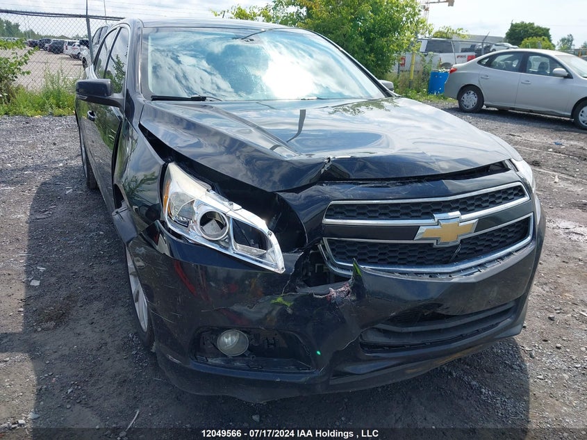2013 Chevrolet Malibu VIN: 1G11E5SA6DU142241 Lot: 12049566