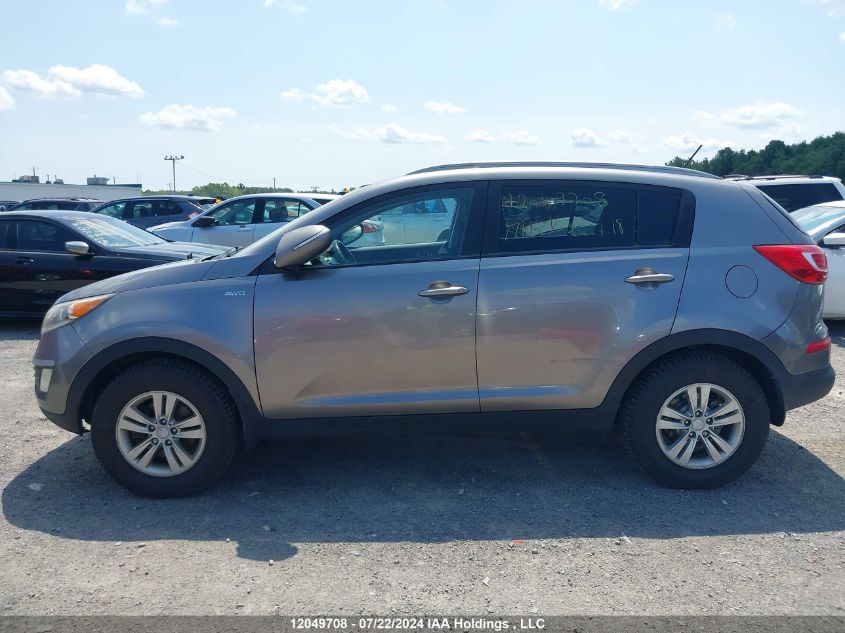 2013 Kia Sportage VIN: KNDPBCA27D7355755 Lot: 12049708