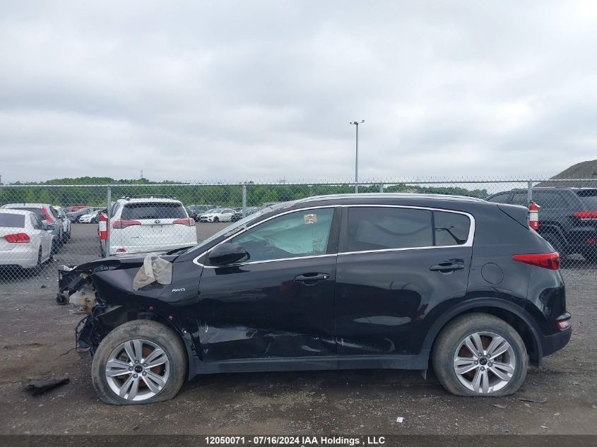 2019 Kia Sportage Lx VIN: KNDPMCAC5K7524980 Lot: 12050071