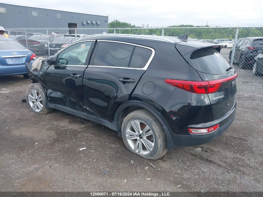 2019 Kia Sportage Lx VIN: KNDPMCAC5K7524980 Lot: 12050071