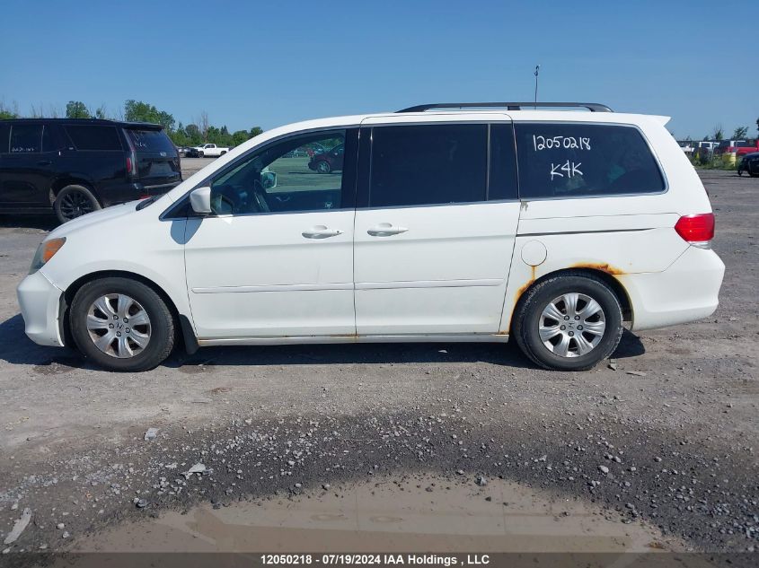 2010 Honda Odyssey VIN: 5FNRL3H57AB503530 Lot: 12050218