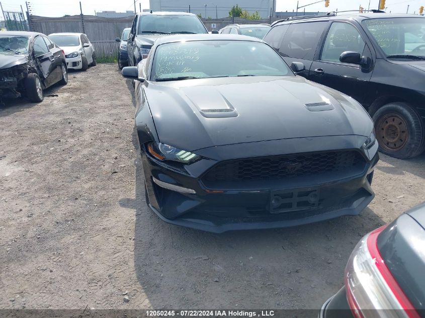 2019 Ford Mustang Ecoboost VIN: 1FA6P8TH0K5182414 Lot: 12050245