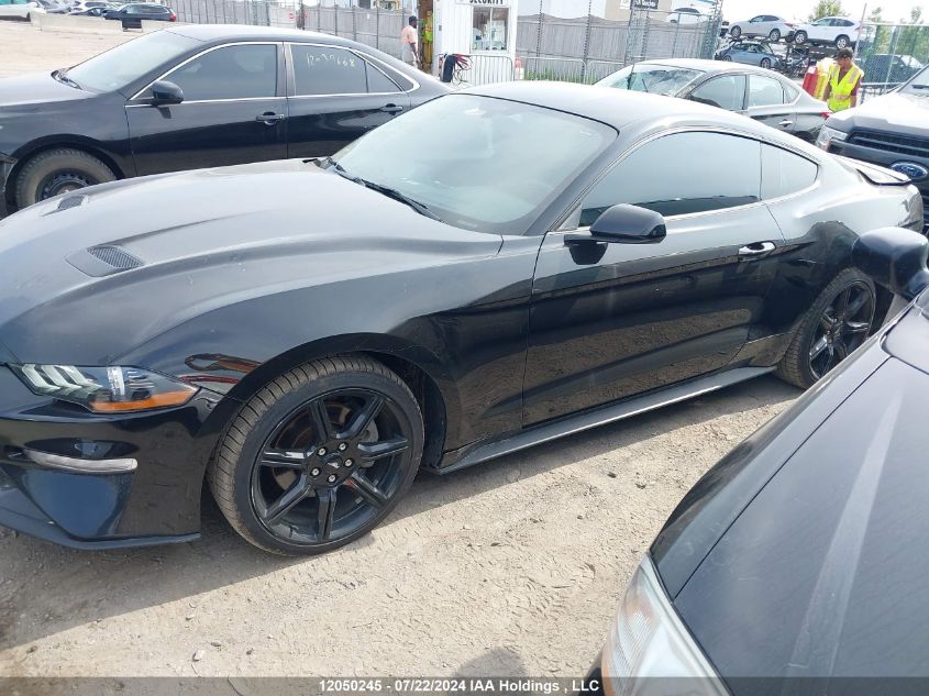 2019 Ford Mustang Ecoboost VIN: 1FA6P8TH0K5182414 Lot: 12050245