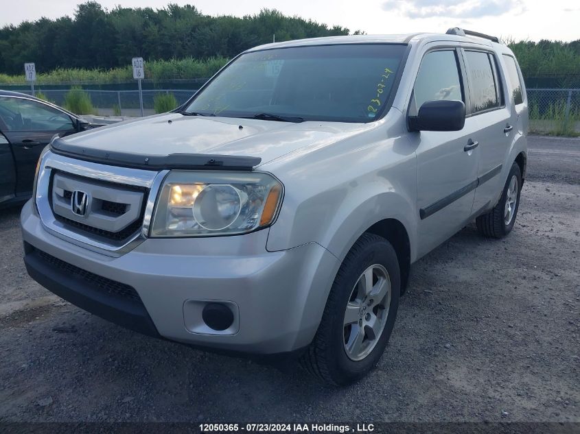 2011 Honda Pilot Lx VIN: 5FNYF4H25BB507043 Lot: 12050365