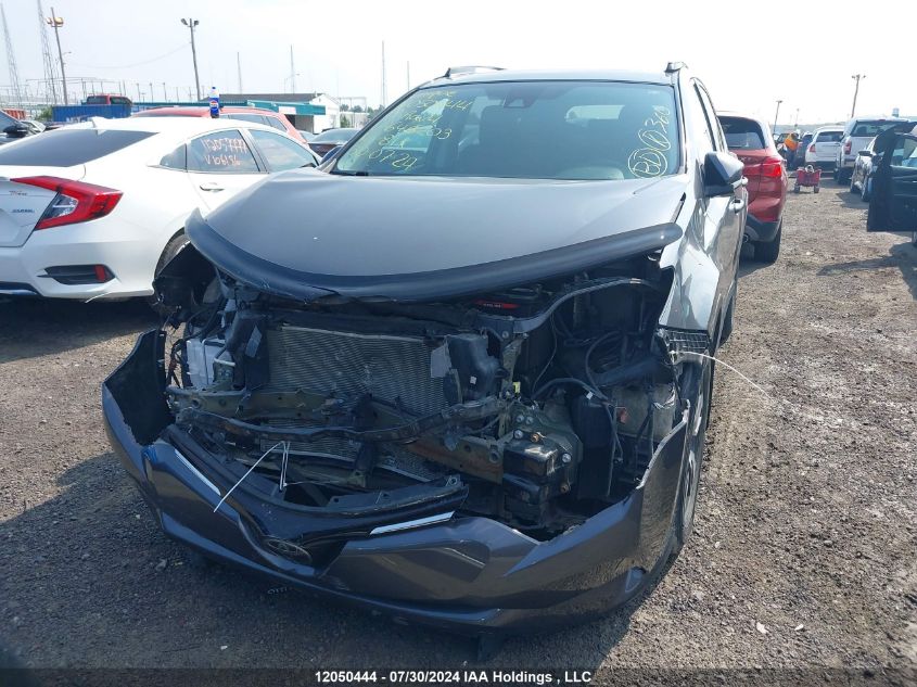 2017 Toyota Rav4 Xle VIN: 2T3RFREV1HW646203 Lot: 12050444