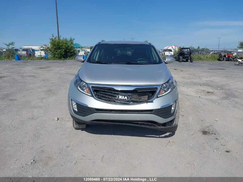 2013 Kia Sportage VIN: KNDPC3A22D7545587 Lot: 12050460