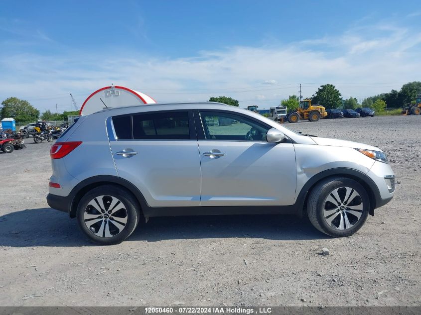 2013 Kia Sportage VIN: KNDPC3A22D7545587 Lot: 12050460