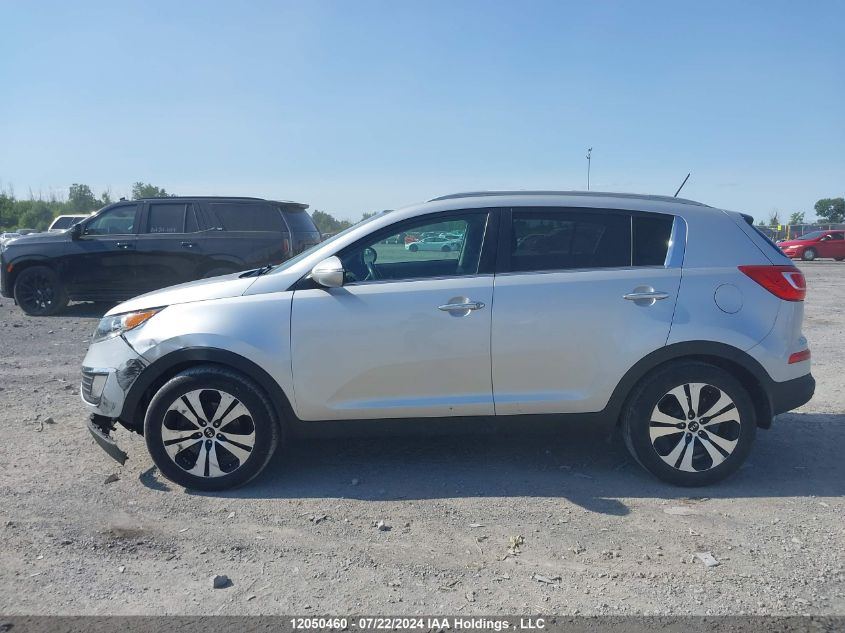 2013 Kia Sportage VIN: KNDPC3A22D7545587 Lot: 12050460