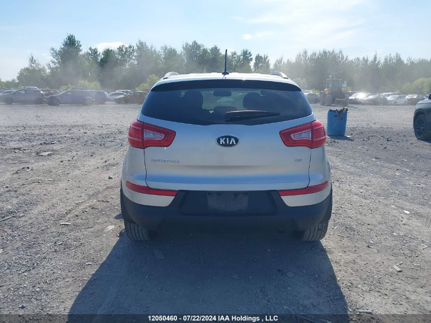 2013 Kia Sportage VIN: KNDPC3A22D7545587 Lot: 12050460