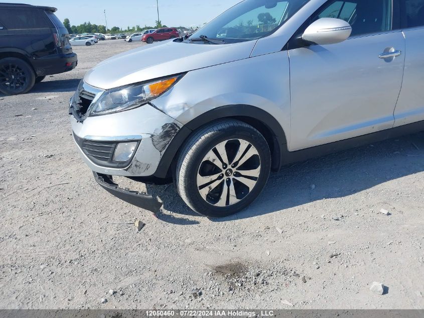 2013 Kia Sportage VIN: KNDPC3A22D7545587 Lot: 12050460