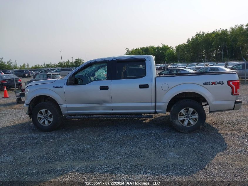 2015 Ford F150 Supercrew VIN: 1FTEW1E81FFB10182 Lot: 12050541