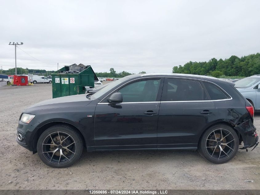 2013 Audi Q5 VIN: WA1MGCFP6DA067750 Lot: 12050695