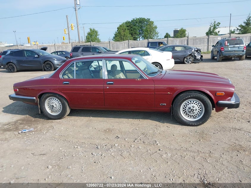1986 Jaguar Xj12 VIN: SAJBN1049GC438111 Lot: 12050722
