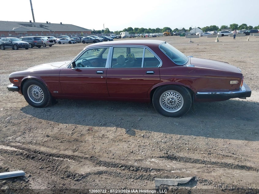 1986 Jaguar Xj12 VIN: SAJBN1049GC438111 Lot: 12050722